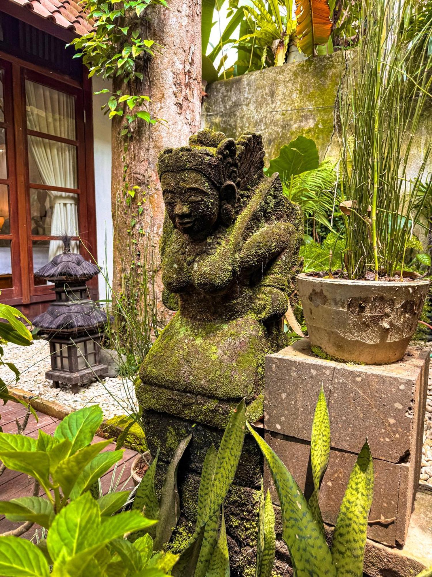 Bali Maison Ubud Dış mekan fotoğraf