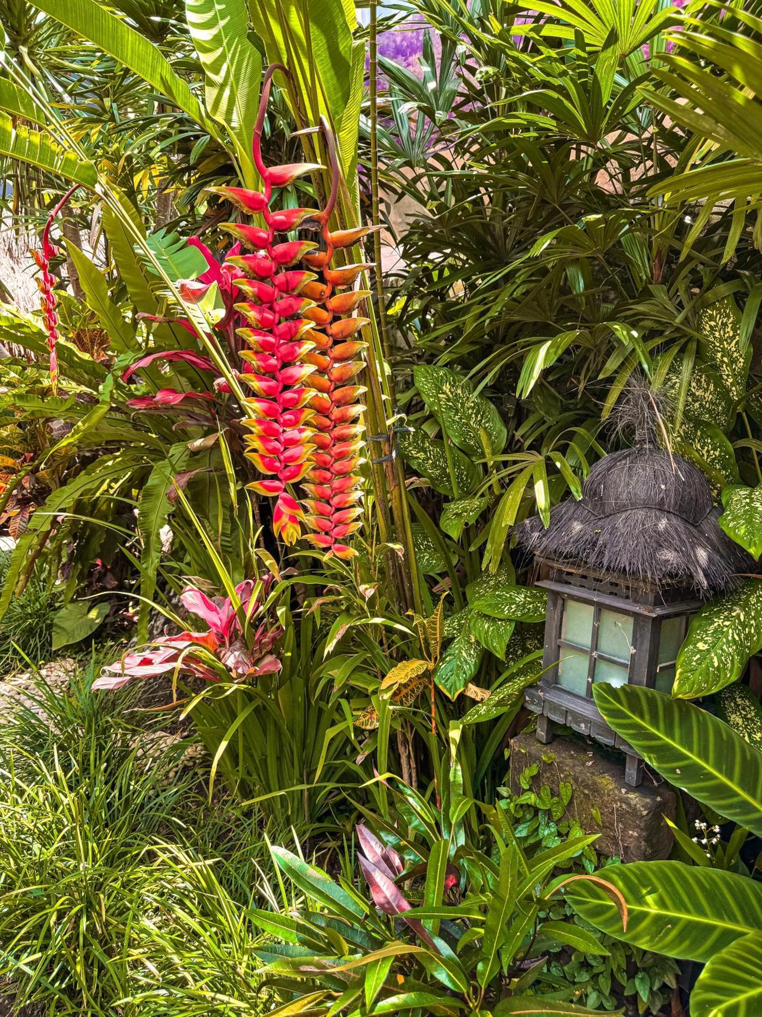 Bali Maison Ubud Dış mekan fotoğraf