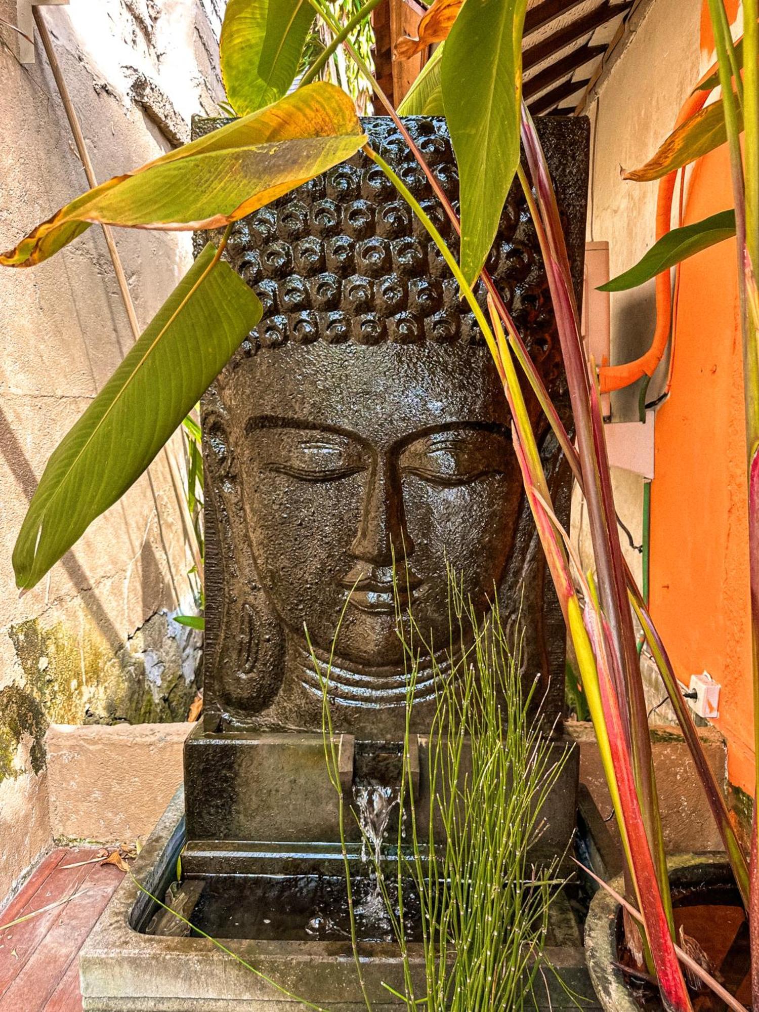 Bali Maison Ubud Dış mekan fotoğraf